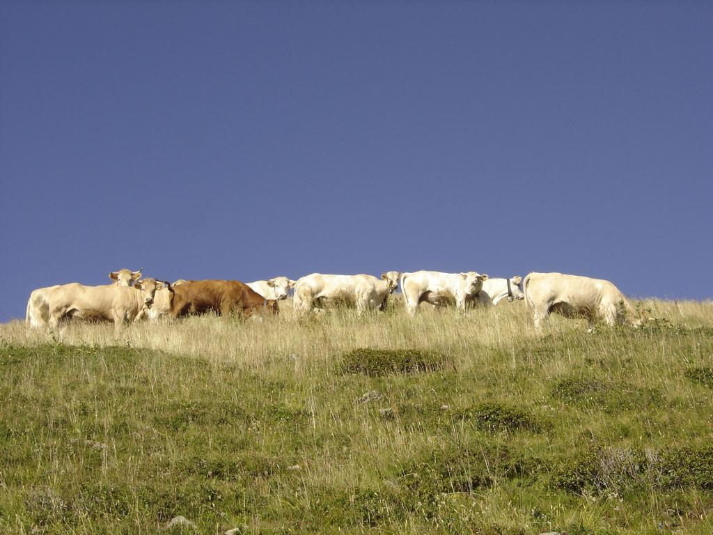 Sainte-Agnès Gite Le Cerf De Belledonne מראה חיצוני תמונה